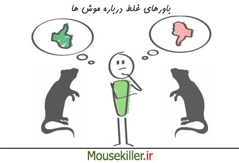باورهای غلط درباره موش ها